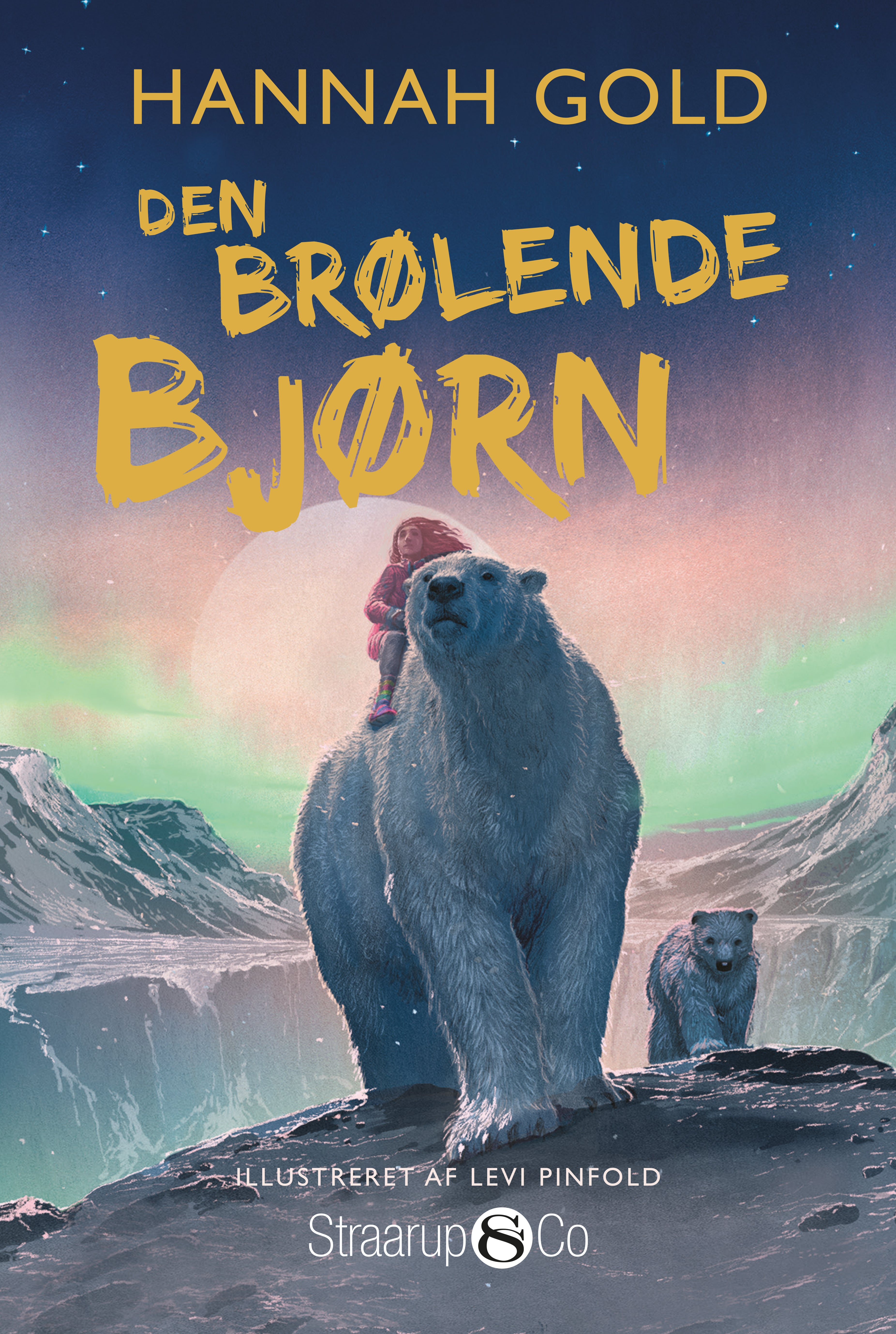 Forside billede